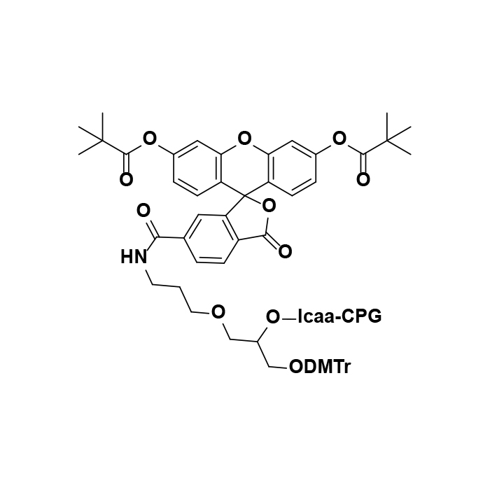3'-(6-FAM) CPG (1000?)